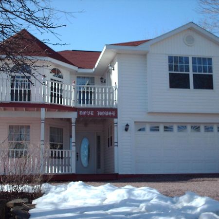 Dove House Bed & Breakfast Harbourside Норт Сидни Екстериор снимка